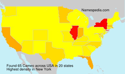 Surname Cameo in USA Surname Cameo in USA