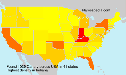 Surname Canary in USA Surname Canary in USA