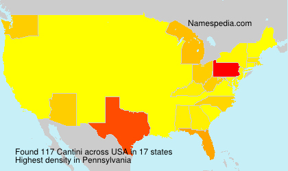 Surname Cantini in USA Surname Cantini in USA