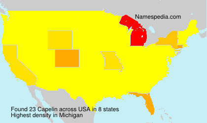 Surname Capelin in USA Surname Capelin in USA