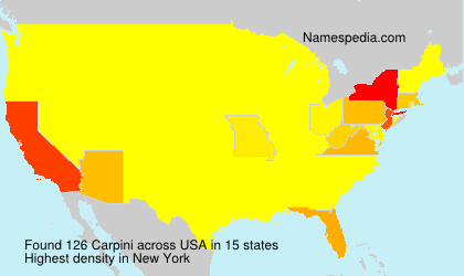 Carpini Carpini