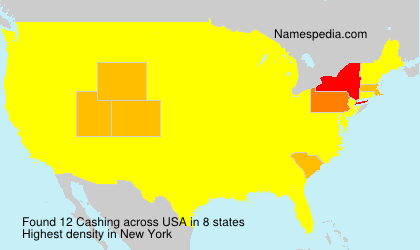 Surname Cashing in USA Surname Cashing in USA