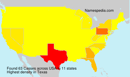 Surname Casses in USA Surname Casses in USA