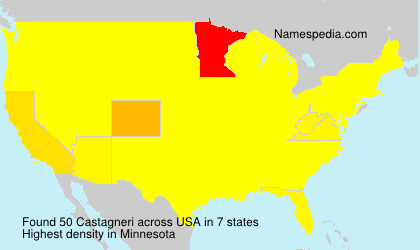 Surname Castagneri in USA