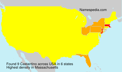 Surname Castantino in USA Surname Castantino in USA