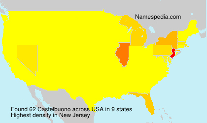 Surname Castelbuono in USA