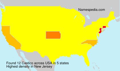 Surname Castico in USA Surname Castico in USA