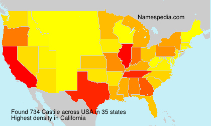 Surname Castile in USA Surname Castile in USA