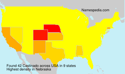 Surname Castinado in USA