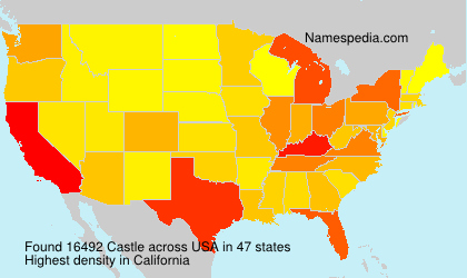 Surname Castle in USA Surname Castle in USA