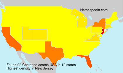 Surname Castorino in USA Surname Castorino in USA