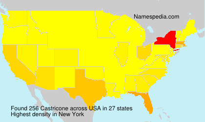 Surname Castricone in USA Surname Castricone in USA