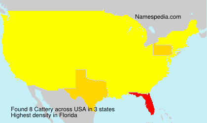 Surname Cattery in USA Surname Cattery in USA
