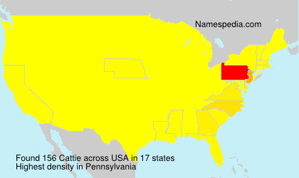 Surname Cattie in USA Surname Cattie in USA