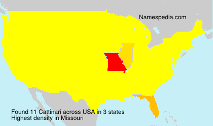 Surname Cattinari in USA Surname Cattinari in USA
