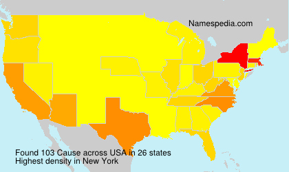 Surname Cause in USA