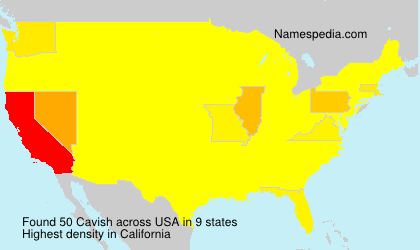 Surname Cavish in USA Surname Cavish in USA