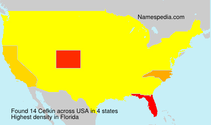 Surname Cefkin in USA Surname Cefkin in USA