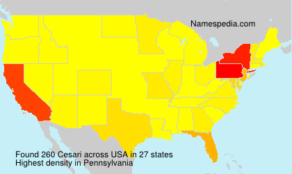 Surname Cesari in USA Surname Cesari in USA