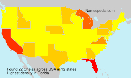 Surname Chelsa in USA