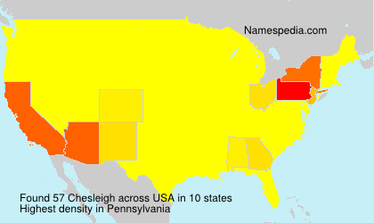 Surname Chesleigh in USA Surname Chesleigh in USA