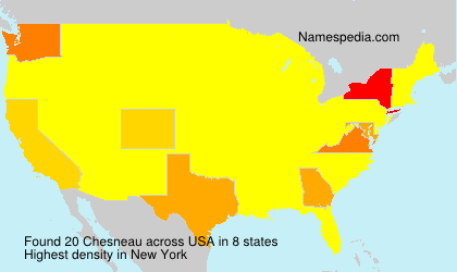 Surname Chesneau in USA