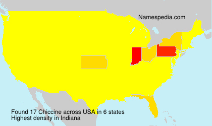 Surname Chiccine in USA
