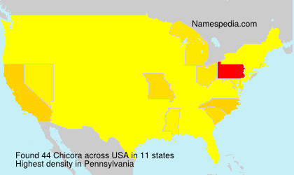 Surname Chicora in USA Surname Chicora in USA