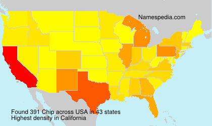 Chip Chip