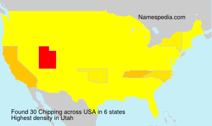 Surname Chipping in USA Surname Chipping in USA