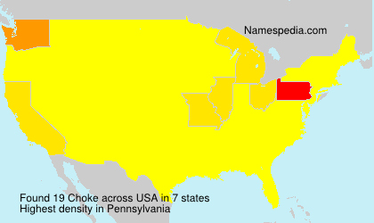 Surname Choke in USA Surname Choke in USA