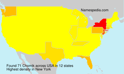 Chomik Chomik