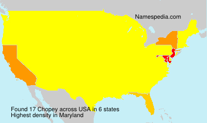 Chopey Chopey