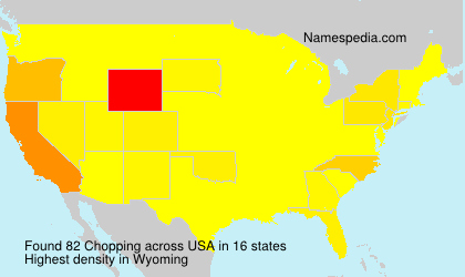 Surname Chopping in USA Surname Chopping in USA