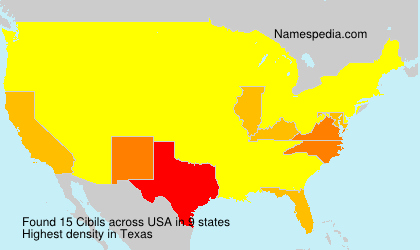 Surname Cibils in USA Surname Cibils in USA