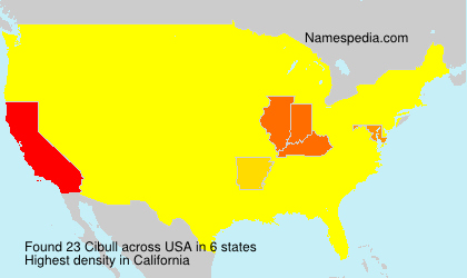 Surname Cibull in USA Surname Cibull in USA