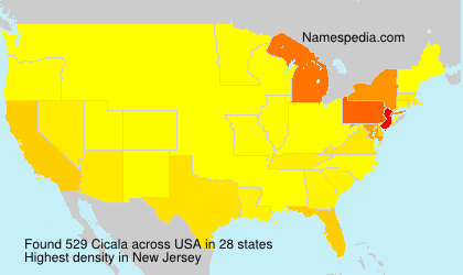 Surname Cicala in USA Surname Cicala in USA
