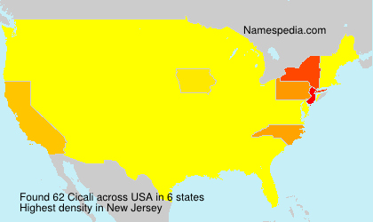 Surname Cicali in USA Surname Cicali in USA