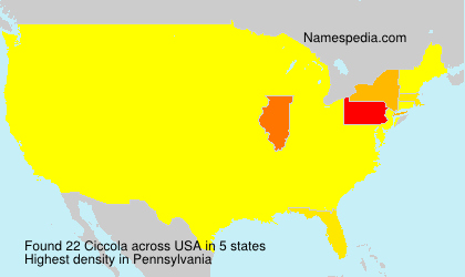 Surname Ciccola in USA Surname Ciccola in USA
