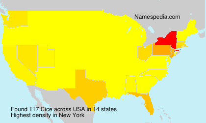 Surname Cice in USA Surname Cice in USA
