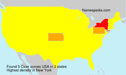Surname Cicer in USA Surname Cicer in USA