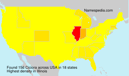 Surname Ciciora in USA Surname Ciciora in USA