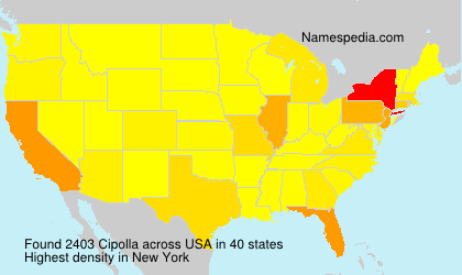 Cipolla Cipolla