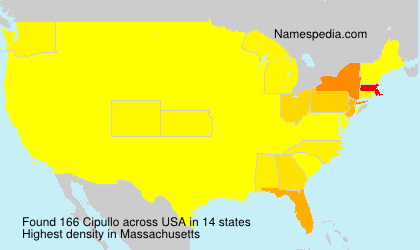 Surname Cipullo in USA Surname Cipullo in USA