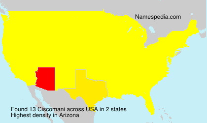 Ciscomani Ciscomani