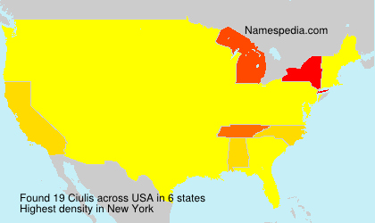 Surname Ciulis in USA Surname Ciulis in USA