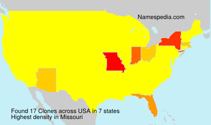 Surname Clones in USA Surname Clones in USA