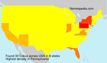 Surname Cokus in USA Surname Cokus in USA