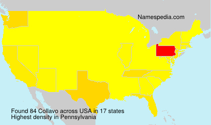 Surname Collavo in USA