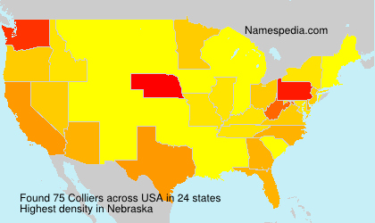 Surname Colliers in USA